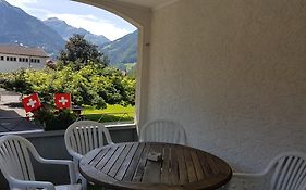 Mountain Views